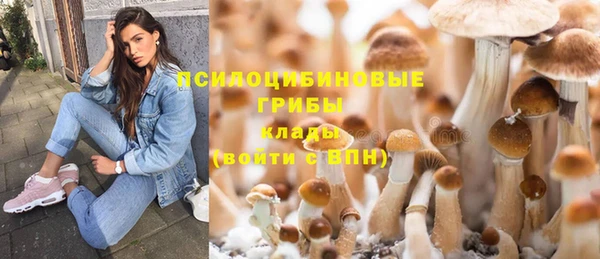 дурь Баксан