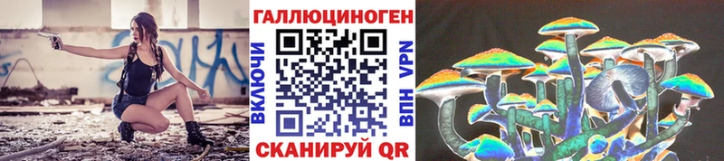 закладка  Пересвет  Псилоцибиновые грибы Magic Shrooms 